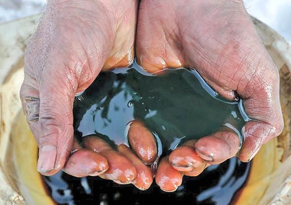 دلیل قیمت نفت