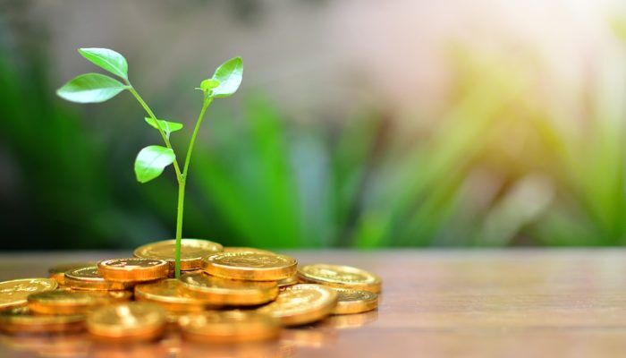 پربازدهترین صندوقهای سرمایهگذاری در سهام و مختلط
