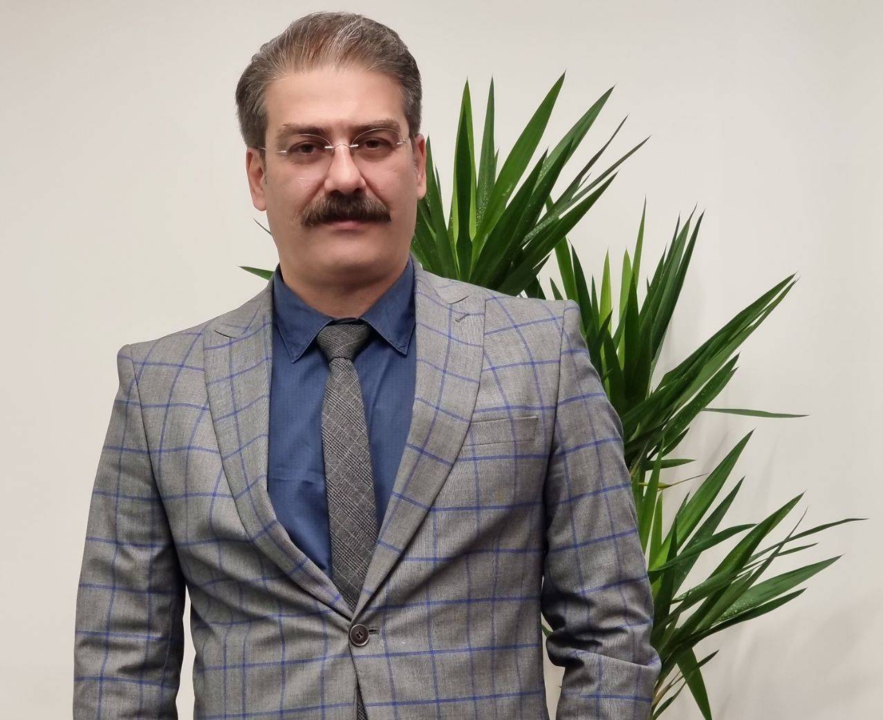 جیبی مو