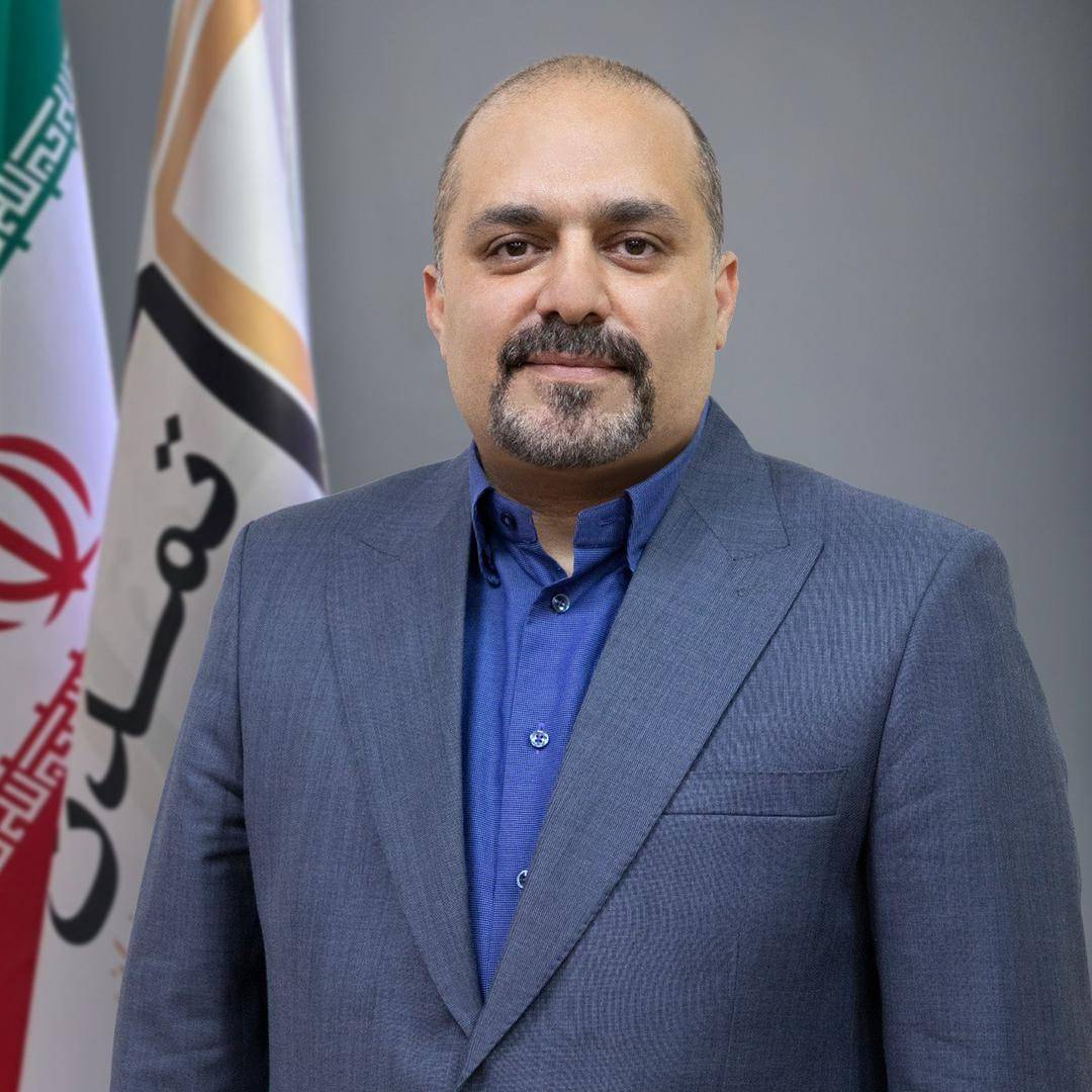 مدیرعامل تامین سرمایه تمدن