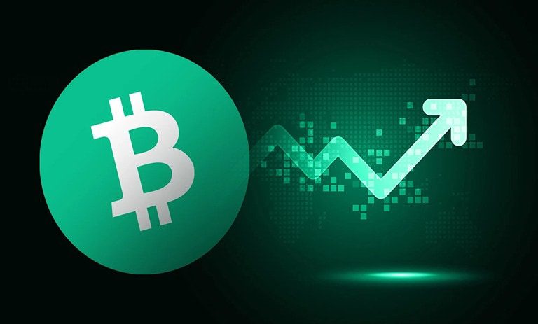 صعود بیت کوین