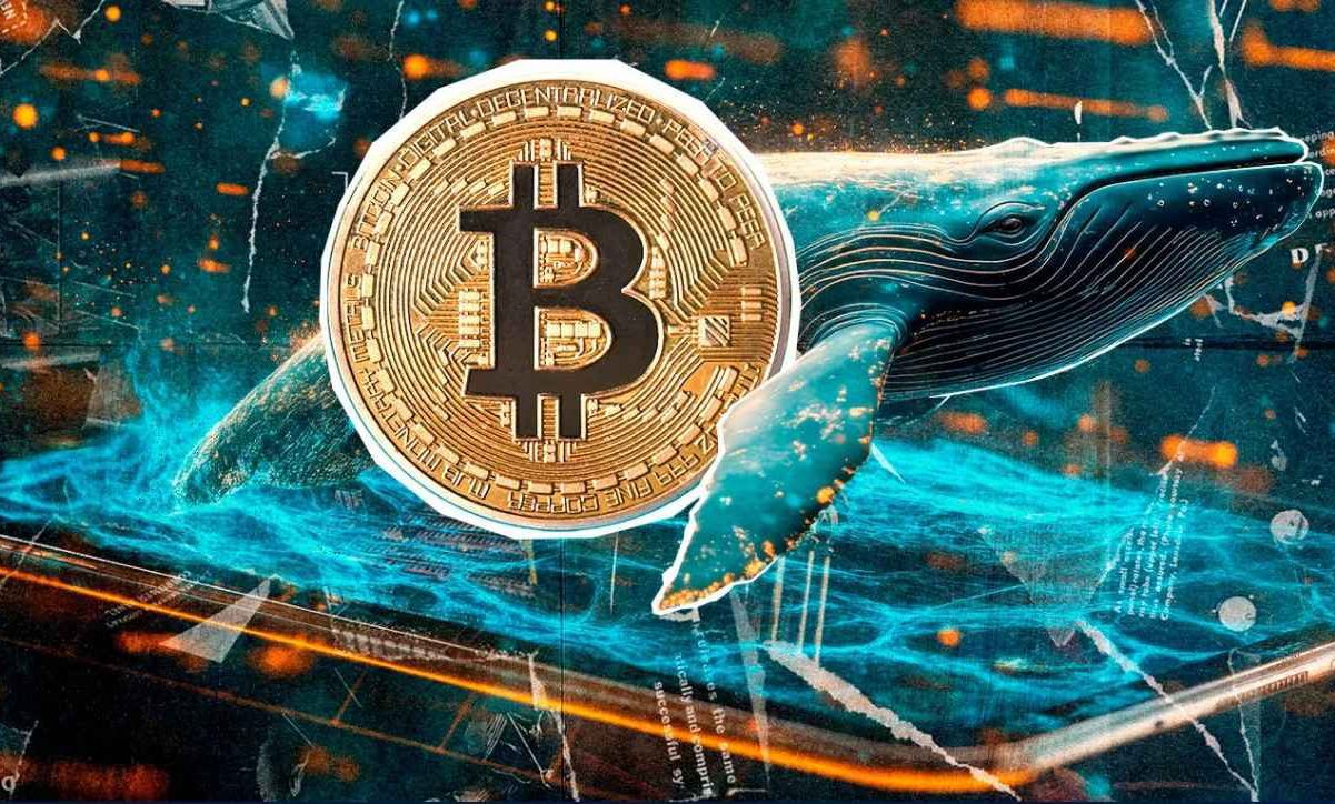 صعود قیمت بیت کوین