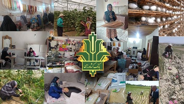 طرح تأمین مالی خرد