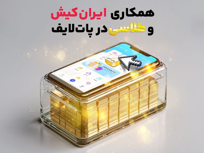 طلاسی در پات لایف