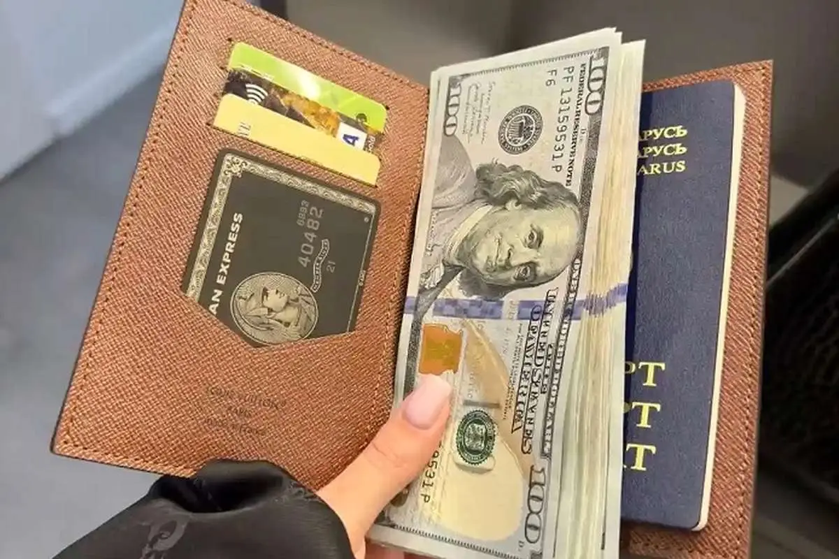 سامانه ارز مسافرتی