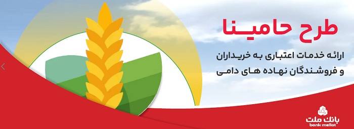 حامینا
