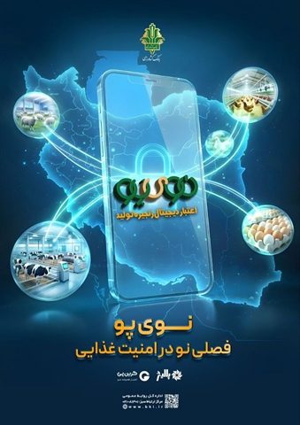 ارزش «نوی‌پو